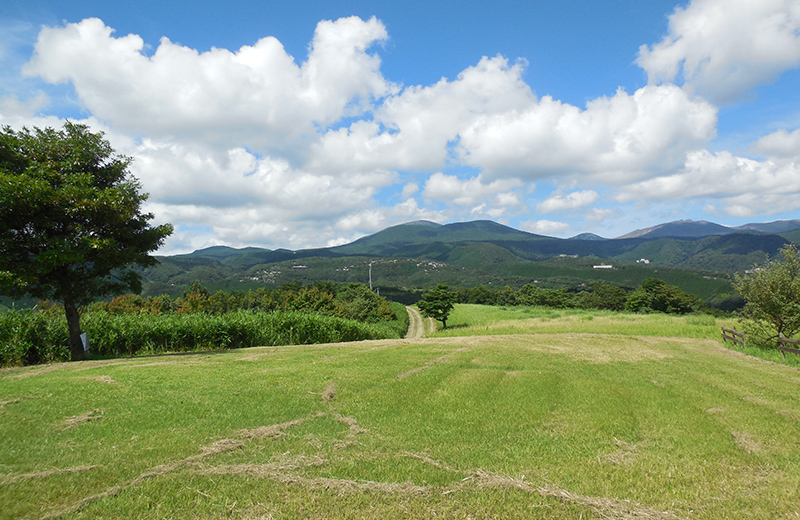 画像：森林セラピーロード（霧島錦江湾国立公園）