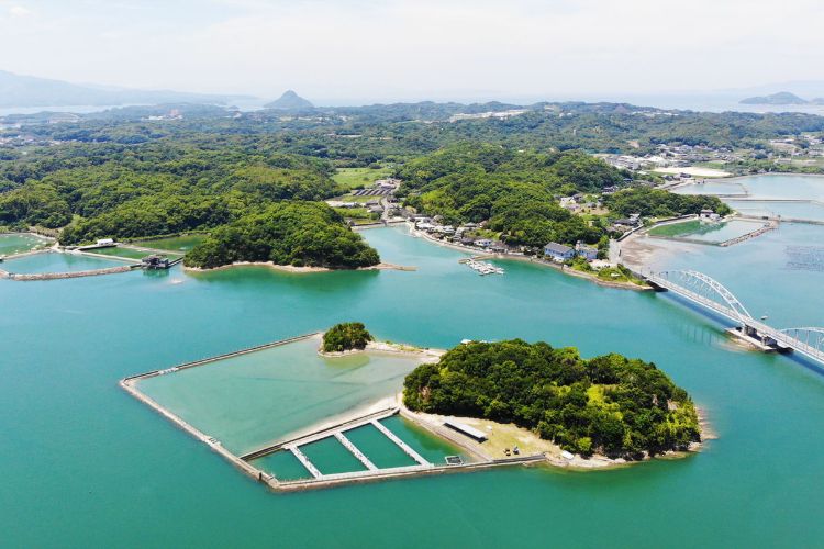 画像：上空写真