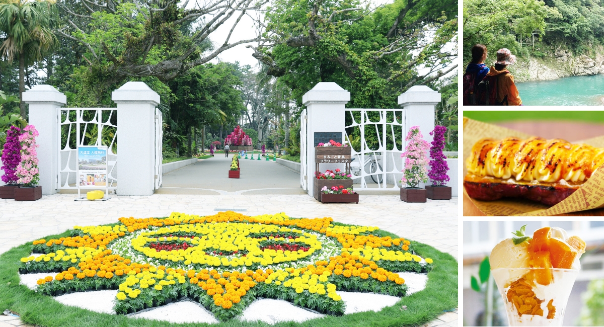 画像：初夏の宮崎、花と果実・自然の楽園へ！