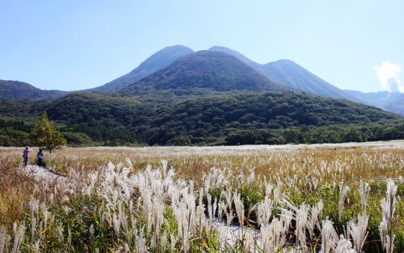 画像：タデ原湿原