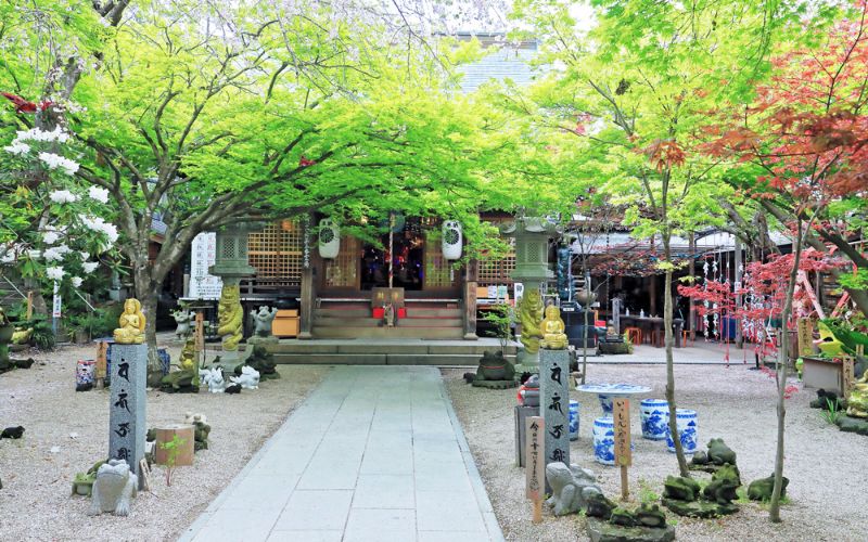 画像：かえる寺（如意輪寺）