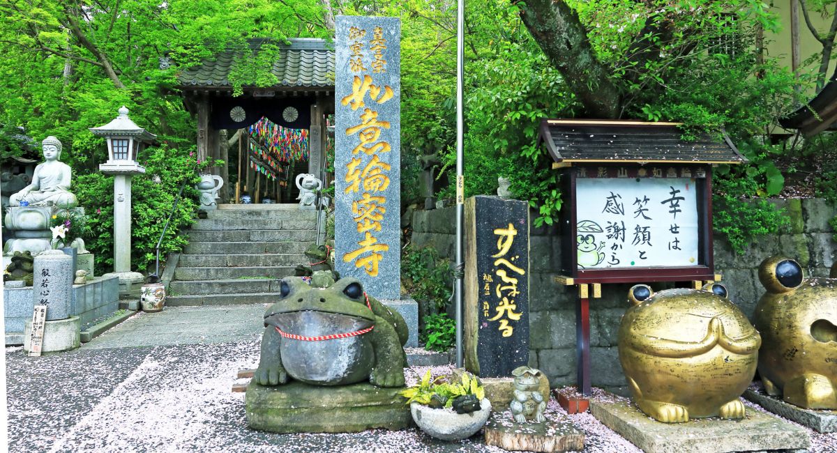 画像：雨音も楽しめる、しっとり大人の寺社巡り