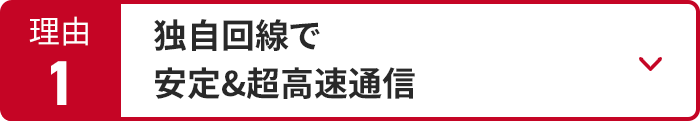 独自回線で安定＆超高速通信