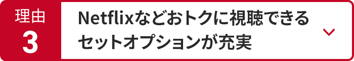 NetFlixなどお得に視聴できるセットオプションが充実