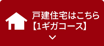 戸建て住宅1ギガコース